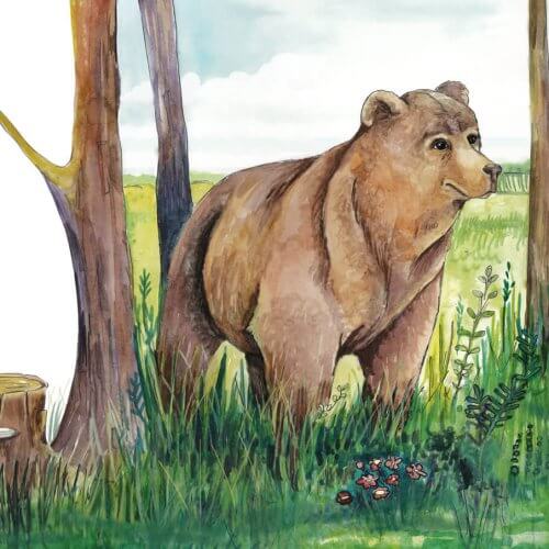 bear walking in the woods illustration